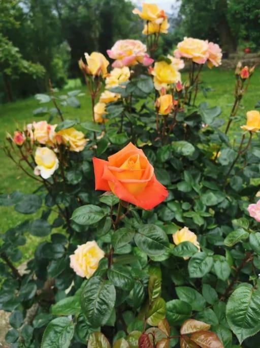 La Flor De Toranzo "Vive Los Valles Pasiegos" Prases Екстер'єр фото