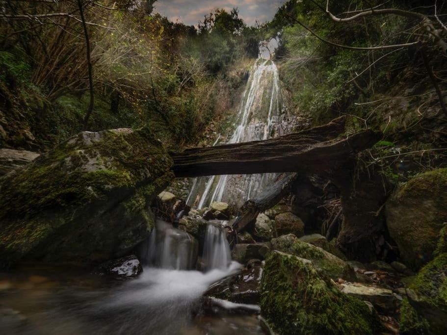 La Flor De Toranzo "Vive Los Valles Pasiegos" Prases Екстер'єр фото